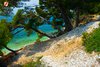 Rovinj Golden Cape pine trees above water