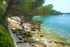 Rovinj Golden bay shadow under the pine trees