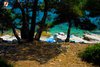 Rovinj Scaraba view from the pine trees