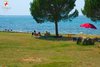 Polari Campground Beach Relax under the trees