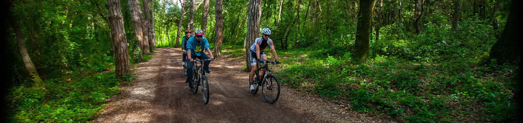 Saint Eufemia Trail - Rovinj Bike Experience