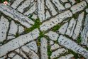 Rovinj Street mosaic