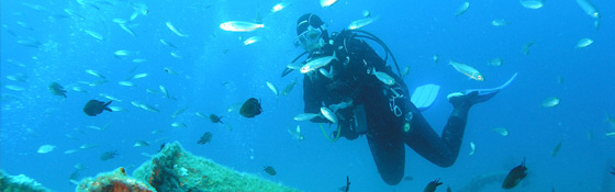 Scuba Diving in Rovinj